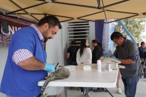 JORNADA DE ESTERILIZACION Y VACUNACIÓN ANTIRRABICA.